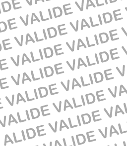 Validierungsmuster für Dienstausweis